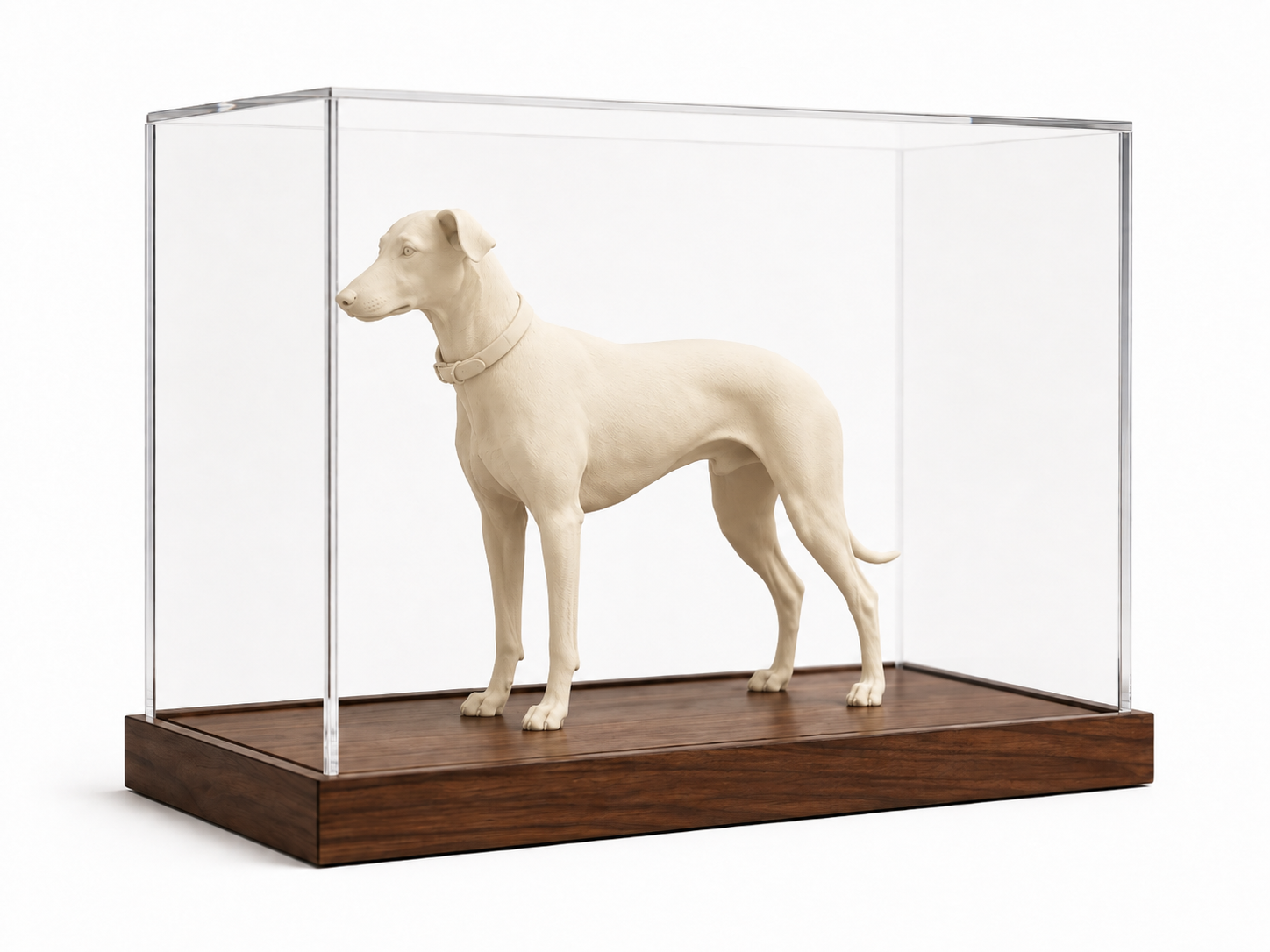 Vorschau: Acrylvitrine mit Holzboden, Stehend